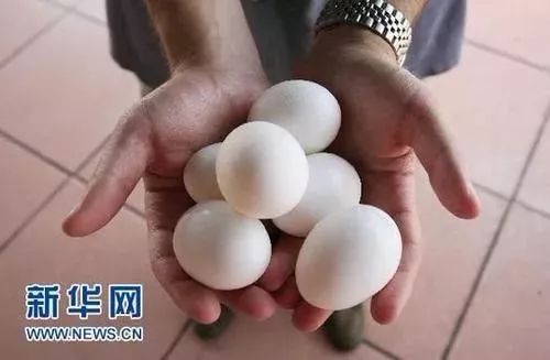 港澳新闻 第11页